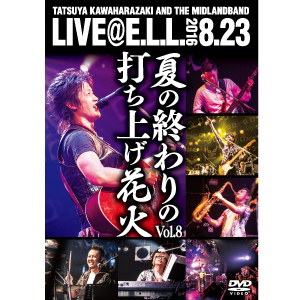 夏の終わりの打ち上げ花火Vol.8